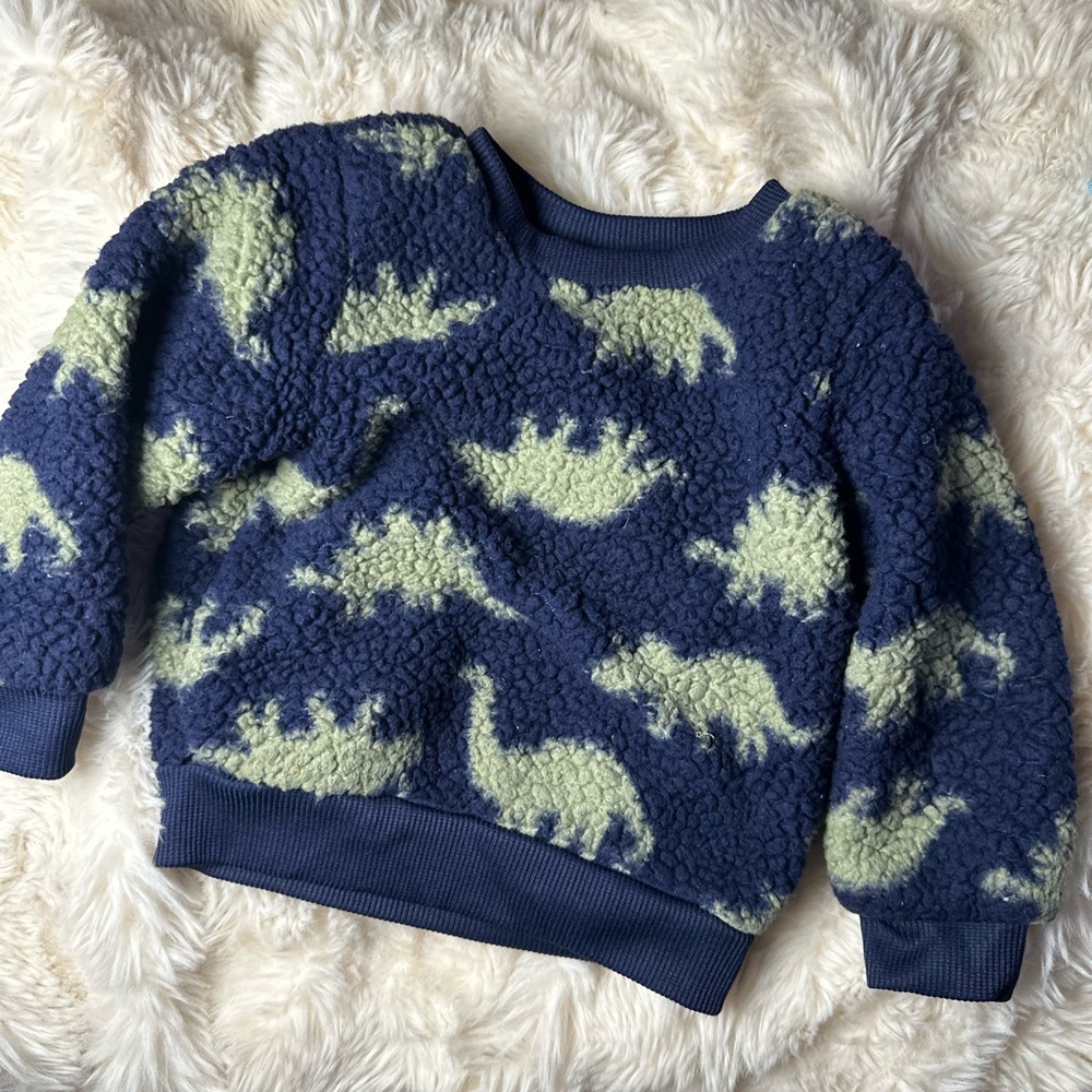 Baby Dinosaur Fleece Sweater